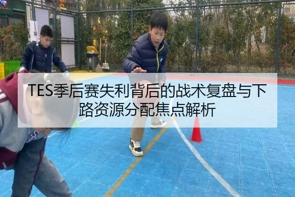 TES季后赛失利背后的战术复盘与下路资源分配焦点解析